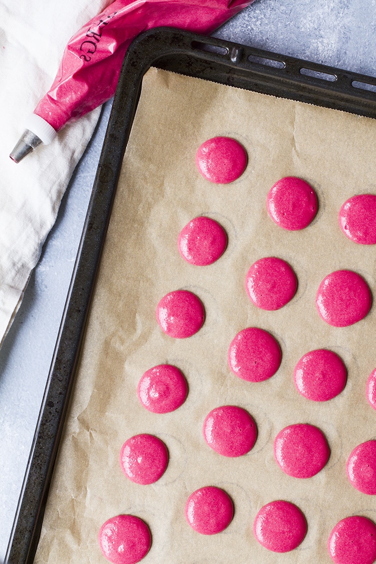 Piped pink macarons on a baking sheet.