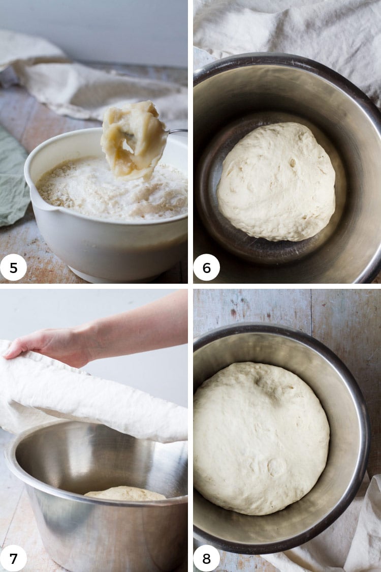 Rising dough to make homemade dinner rolls, step by step.