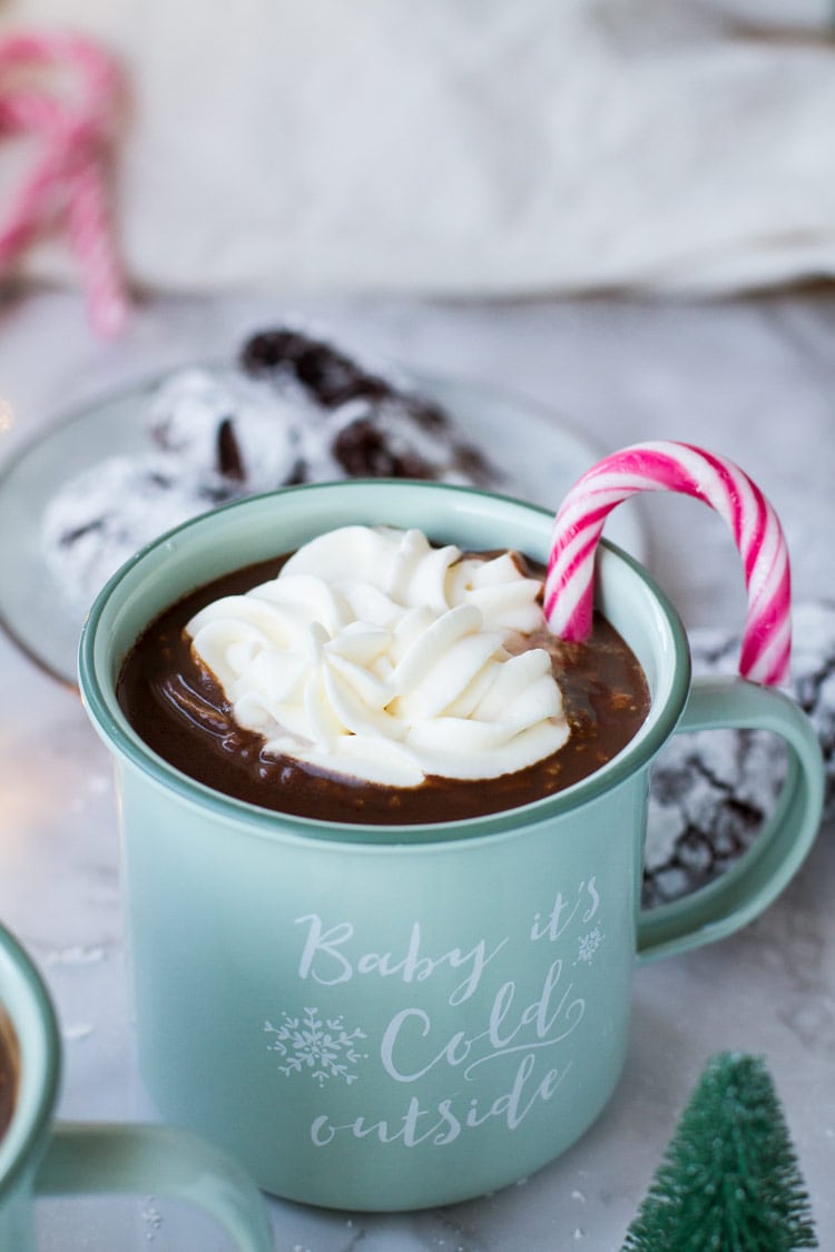 Mint colored enamel mug with mocha coffee, whipped cream and candy cane garnish.